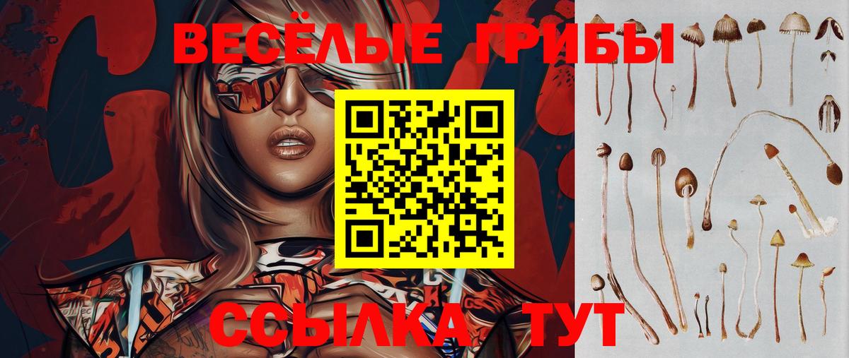 Псилоцибиновые грибы прущие грибы  Вход с VPN  Нижнекамск 